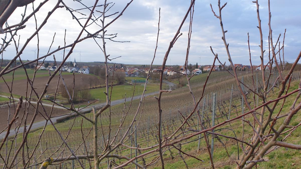 Blick in die ILE MainLand Allianz, Gemeinde Buchbrunn